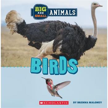 Big and Small: Birds (Wild World)