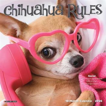 Chihuahua Rules 2026 7 X 7 Mini Wall Calendar