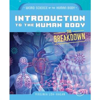 Introduction to the Human Body