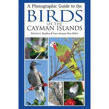 A Photographic Guide to the Birds of the Cayman IslandsAPhotographic Guide to the Birds of