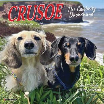 Crusoe the Celebrity Dachshund 2026 7 X 7 Mini Wall Calendar