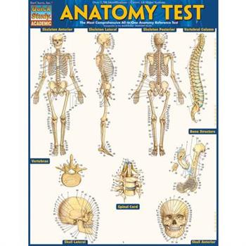 Anatomy Test