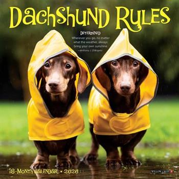 Dachshund Rules 2026 7 X 7 Mini Wall Calendar