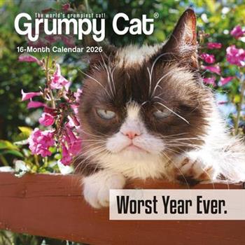 Grumpy Cat