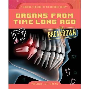 Organs from Time Long Ago