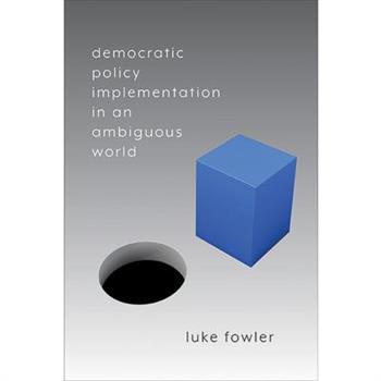 Democratic Policy Implementation in an Ambiguous World