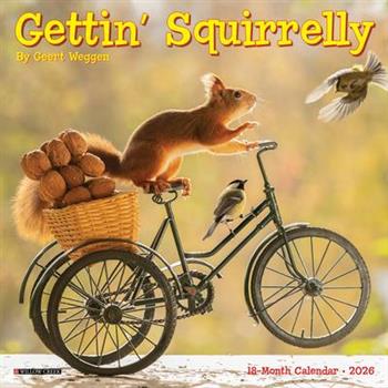 Gettin' Squirrelly 2026 7 X 7 Mini Wall Calendar