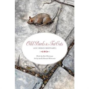Odd Birds & Fat Cats