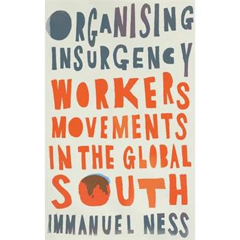 Organizing Insurgency