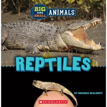 Big and Small: Reptiles (Wild World)