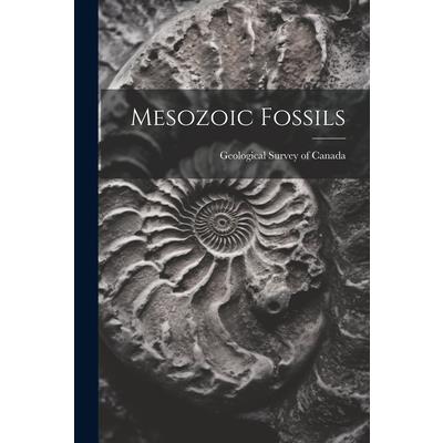 Mesozoic Fossils