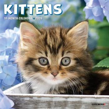 Kittens 2026 7 X 7 Mini Wall Calendar