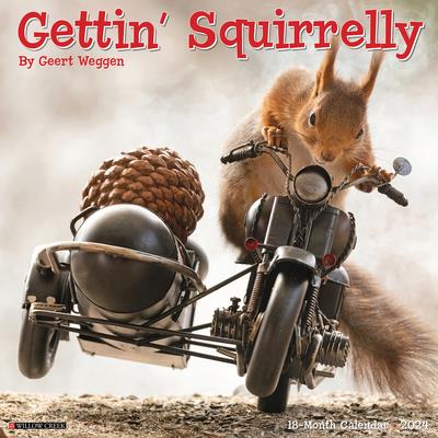 Gettin’ Squirrelly 2024 12 X 12 Wall Calendar