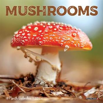 Mushrooms 2026 7 X 7 Mini Wall Calendar