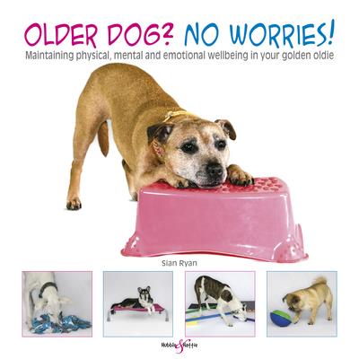 Older Dog? No Worries!