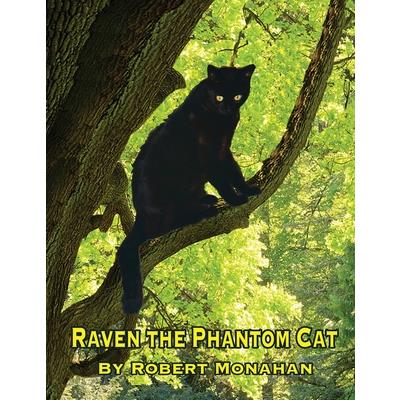 Raven The Phantom Cat