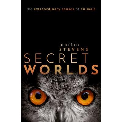 Secret Worlds