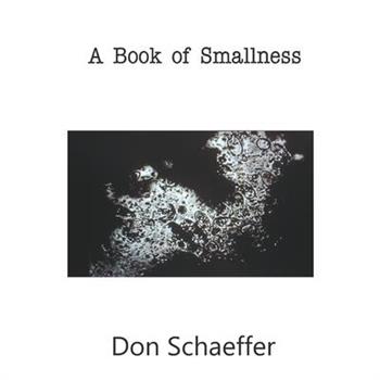 A Book of Smallness