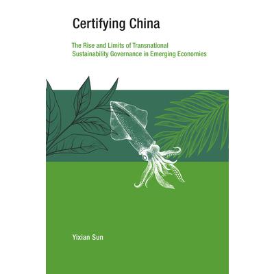 Certifying China