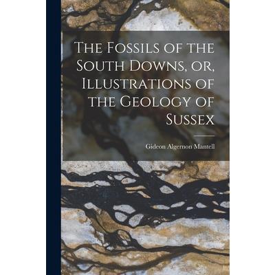 The Fossils of the South Downs, or, Illustrations of the Geology of Sussex