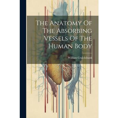 The Anatomy Of The Absorbing Vessels Of The Human Body