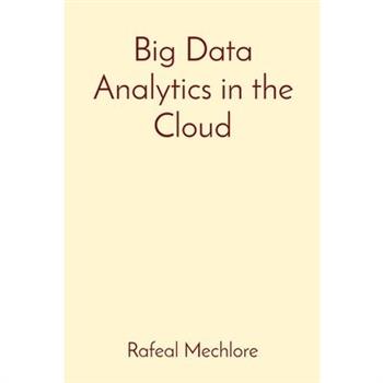 Big Data Analytics in the Cloud