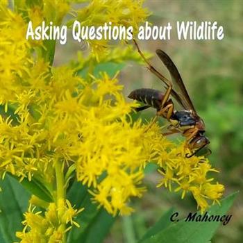 Asking Questions about Wildlife