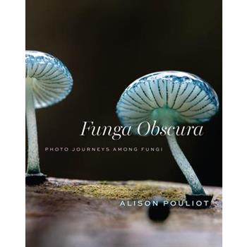 Funga Obscura
