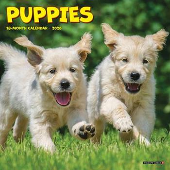 Puppies 2026 7 X 7 Mini Wall Calendar