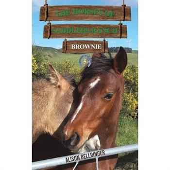 The Horses of Saddlers Ranch