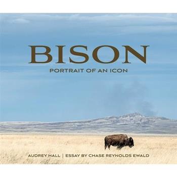 Bison