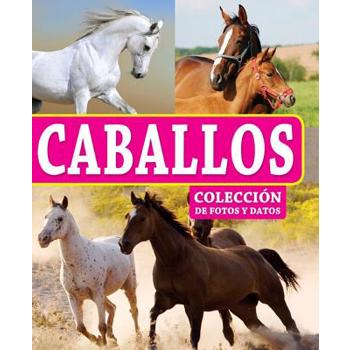 Caballos/ Horses