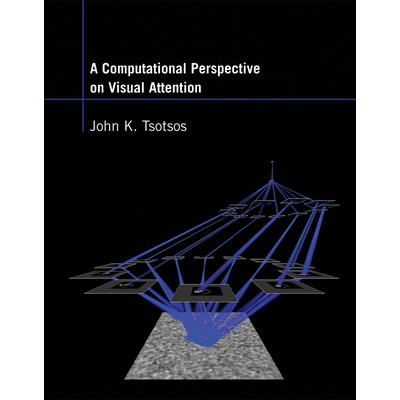 A Computational Perspective on Visual Attention