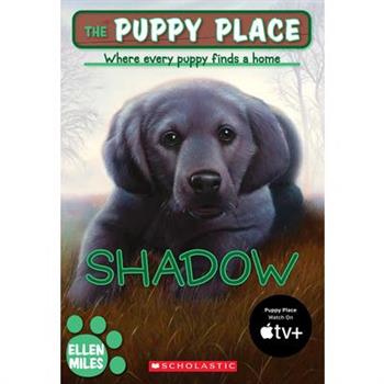Shadow