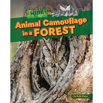 Animal Camouflage in a Forest