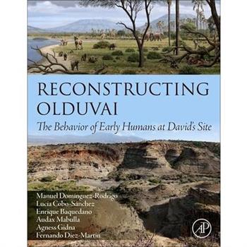 Reconstructing Olduvai