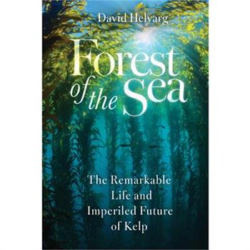 Forest of the Sea