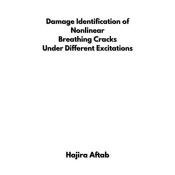 Damage Identification of Nonlinear Breathing Cracks Under Different Excitations