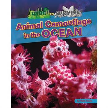 Animal Camouflage in the Ocean