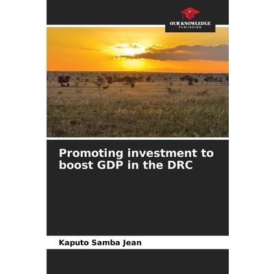 Promoting investment to boost GDP in the DRC