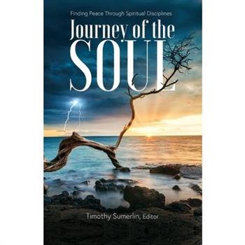 The Soul Journey