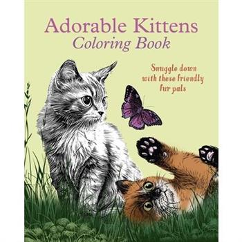 Adorable Kittens Coloring Book