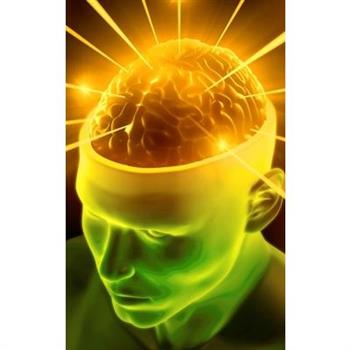 emergence of integrity