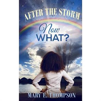 After The Storm Now What?
