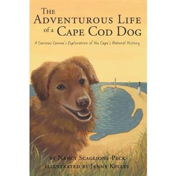 The Adventurous Life of a Cape Cod Dog
