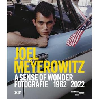 Joel Meyerowitz: A Sense of Wonder