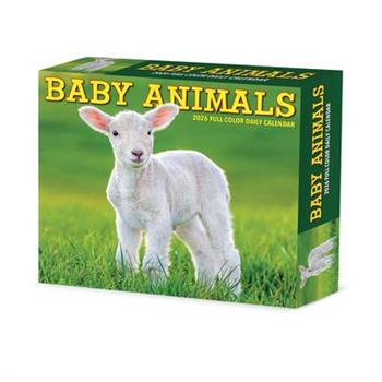 Baby Animals 2026 5.4 X 6.2 Box Calendar