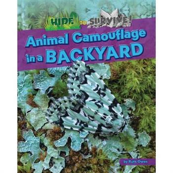 Animal Camouflage in a Backyard