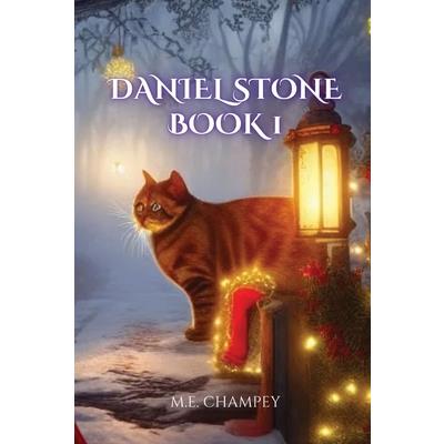 Daniel Stone Book 1