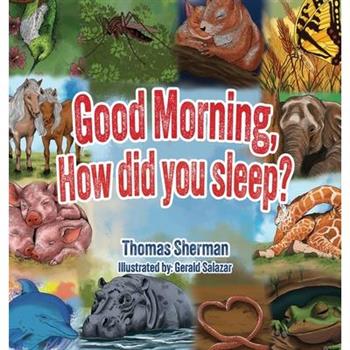 Good Morning, How Did You Sleep?